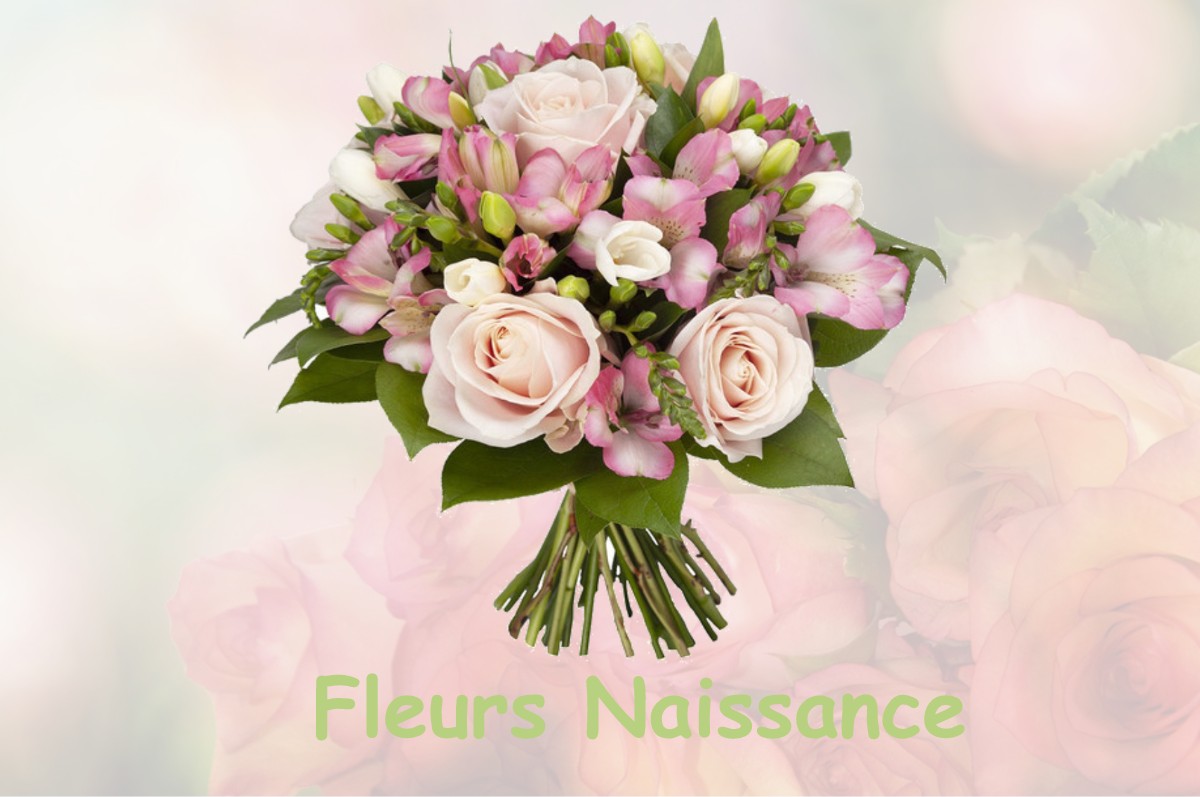 fleurs naissance FOISSY-SUR-VANNE